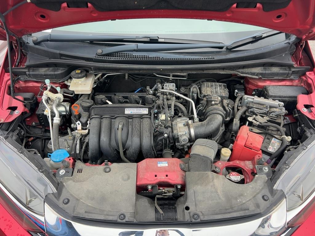 2019 Honda Shuttle