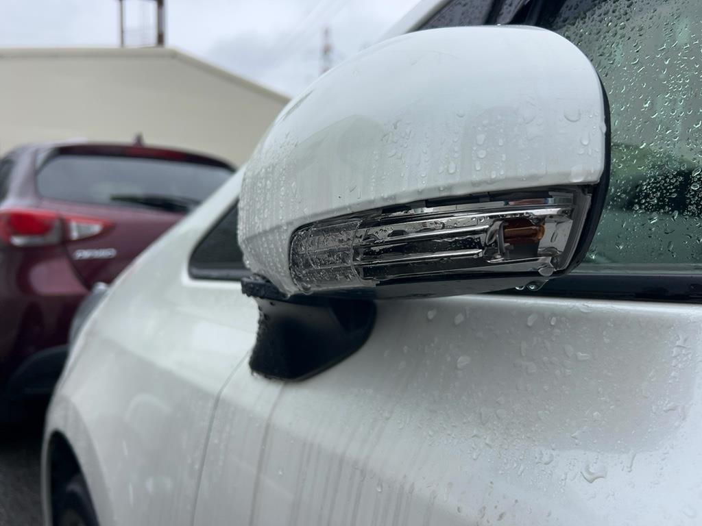 2020 Toyota PRIUS ALPHA