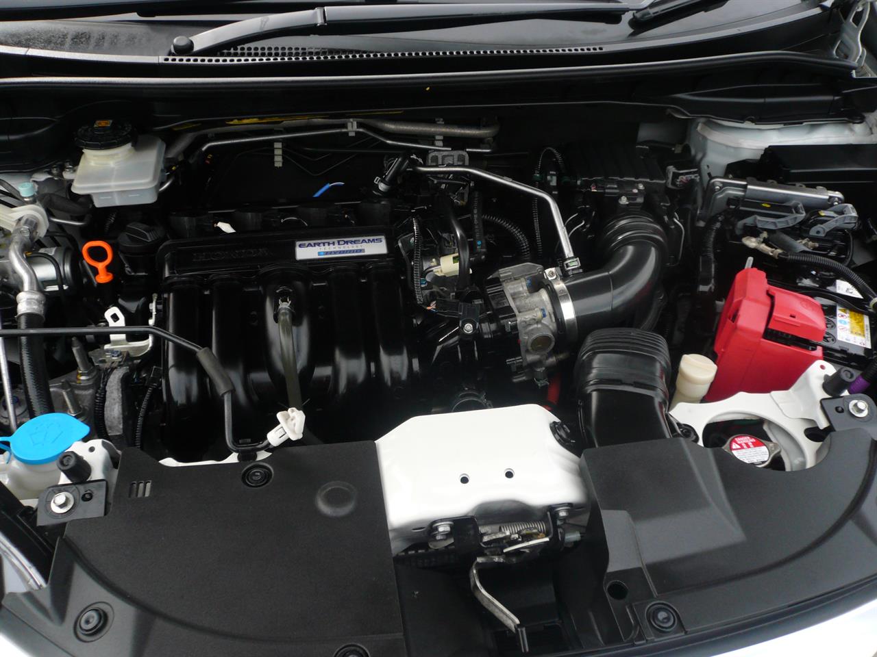 2020 Honda Shuttle