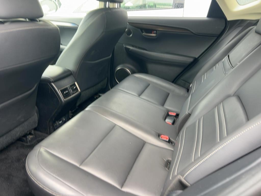 2015 Lexus NX300H